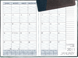 7806 Monthly Calendar Refills